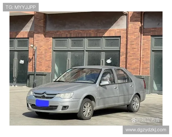 2013款雪铁龙新爱丽舍爱极客视频评测