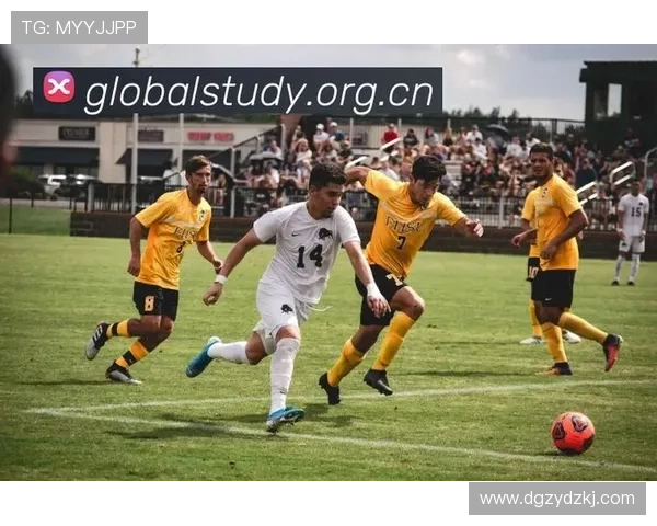 ✅体育直播🏆世界杯直播🏀NBA直播⚽- 广东惠州、韶关、肇庆3名干部被“双开”- sports