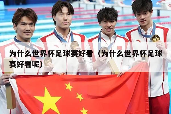为什么世界杯足球赛好看（为什么世界杯足球赛好看呢）